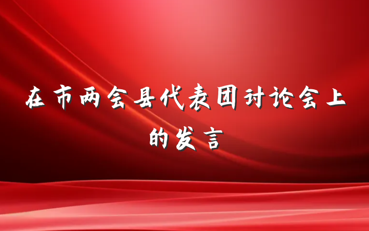 在市两会县代表团讨论会上的发言