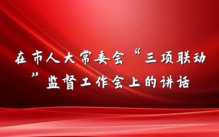 在市人大常委会“三项联动”监督工作会上的讲话
