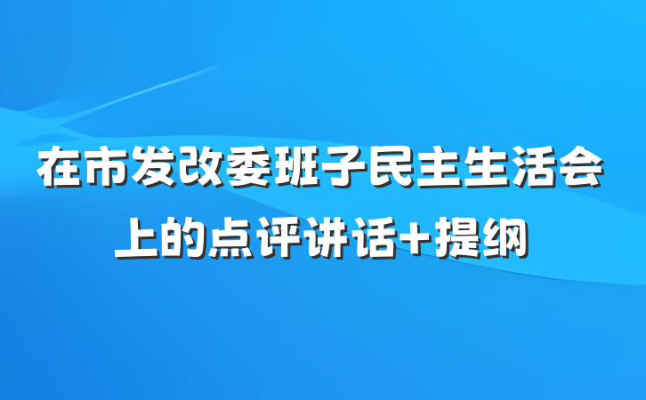 在市发改委班子民主生活会上的点评讲话 提纲