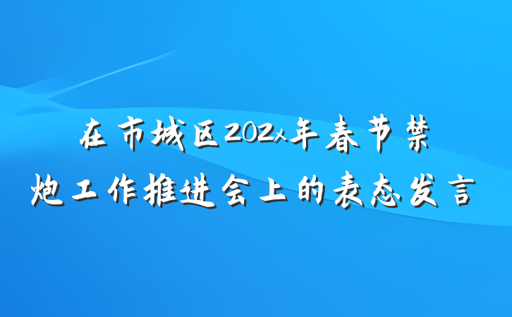 在市城区202x年春节禁炮工作推进会上的表态发言