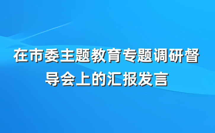 在市委主题教育专题调研督导会上的汇报发言