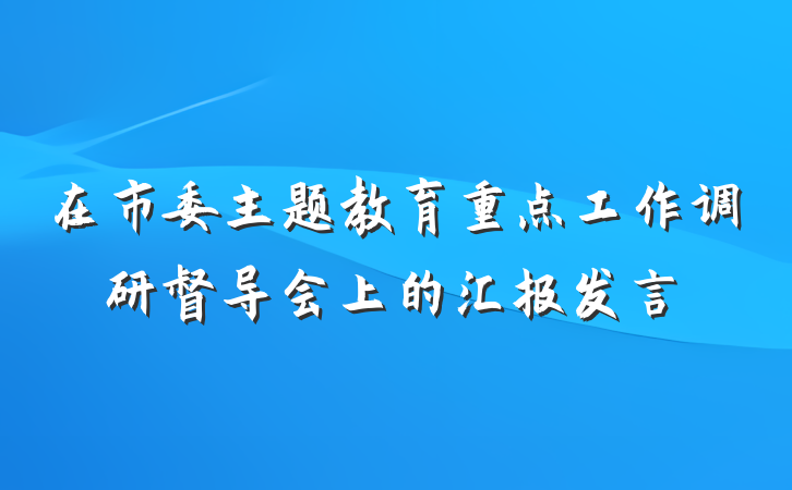 在市委主题教育重点工作调研督导会上的汇报发言
