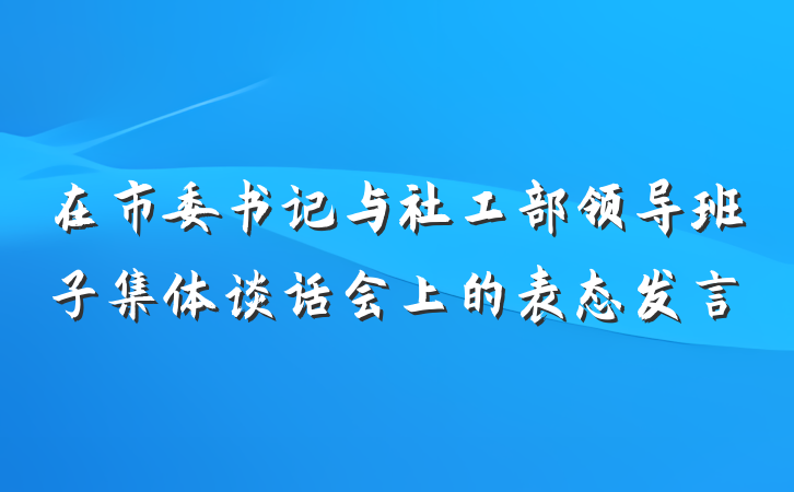 在市委书记与社工部领导班子集体谈话会上的表态发言
