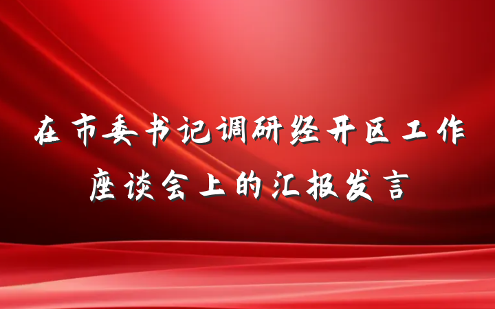 在市委书记调研经开区工作座谈会上的汇报发言