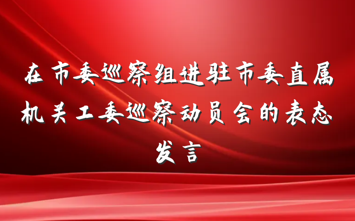 在市委巡察组进驻市委直属机关工委巡察动员会的表态发言