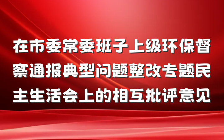 在市委常委班子上级环保督察通报典型问题整改专题民主生活会上的相互批评意见