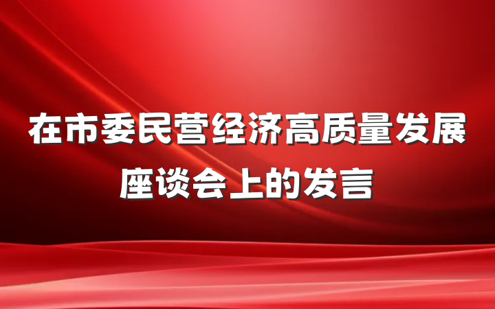 在市委民营经济高质量发展座谈会上的发言