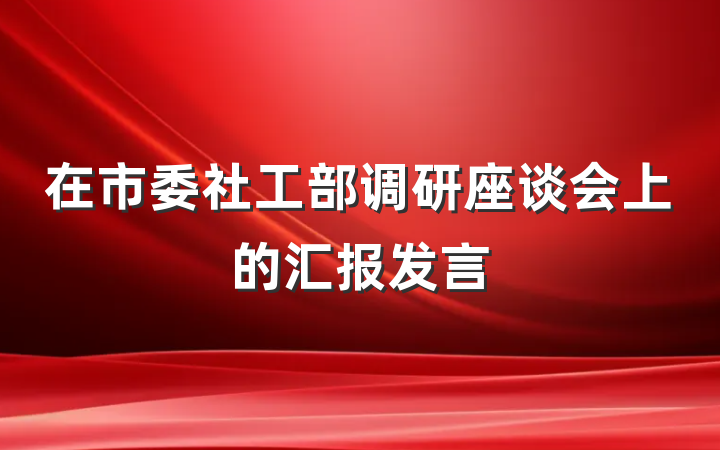 在市委社工部调研座谈会上的汇报发言