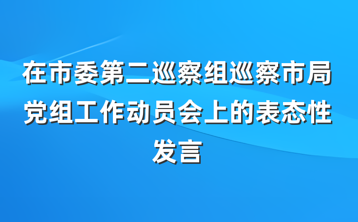在市委第二巡察组巡察市局党组工作动员会上的表态性发言