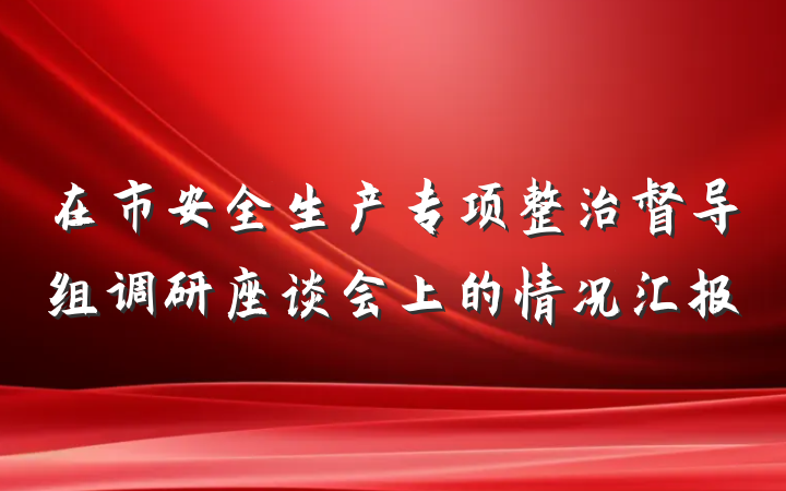 在市安全生产专项整治督导组调研座谈会上的情况汇报