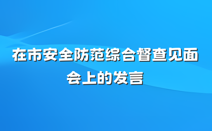 在市安全防范综合督查见面会上的发言