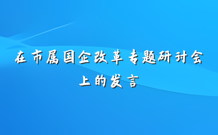 在市属国企改革专题研讨会上的发言