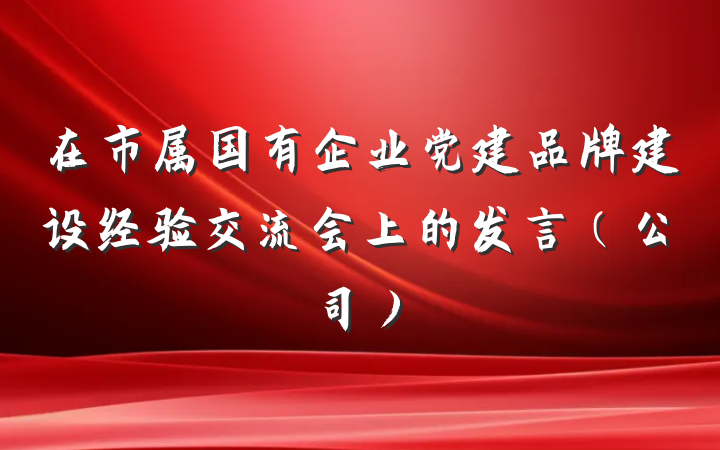 在市属国有企业党建品牌建设经验交流会上的发言(公司)