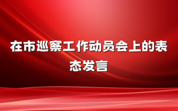 在市巡察工作动员会上的表态发言
