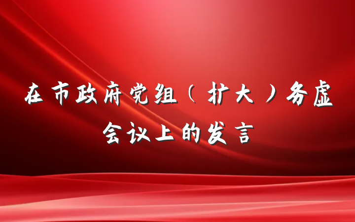 在市政府党组（扩大）务虚会议上的发言