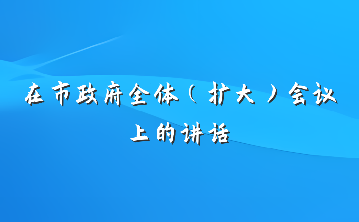在市政府全体（扩大）会议上的讲话