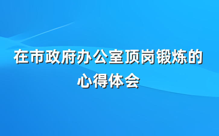 在市政府办公室顶岗锻炼的心得体会