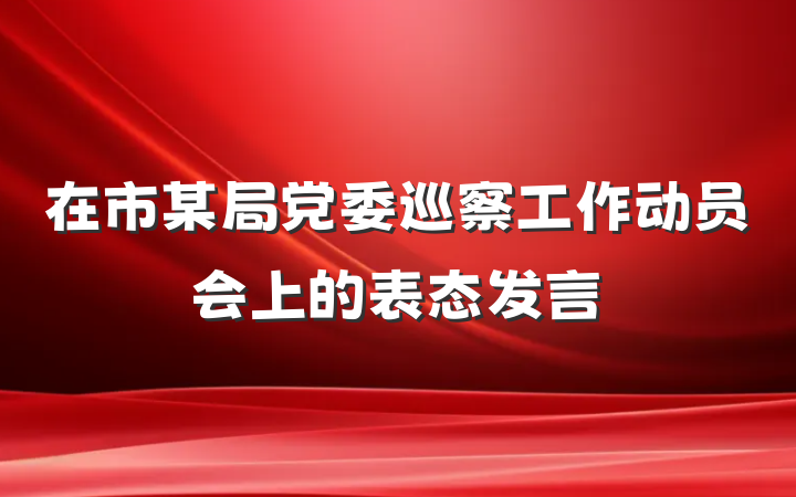 在市某局党委巡察工作动员会上的表态发言