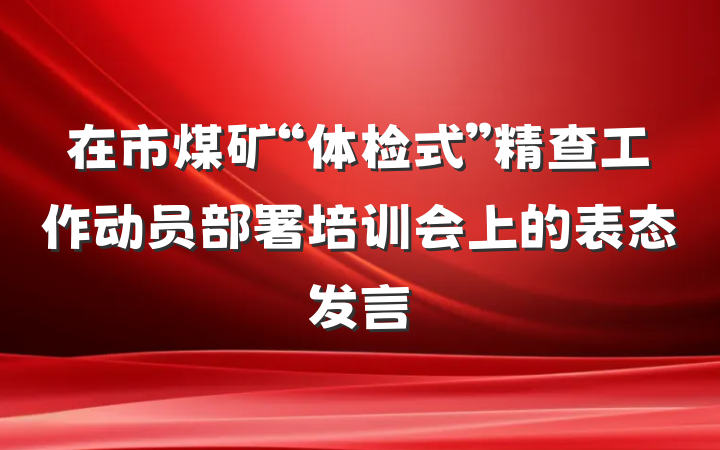 在市煤矿“体检式”精查工作动员部署培训会上的表态发言