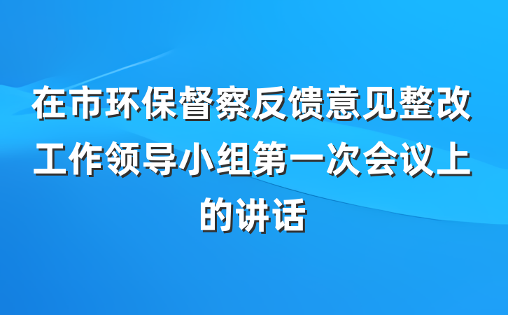 在市环保督察反馈意见整改工作领导小组第一次会议上的讲话