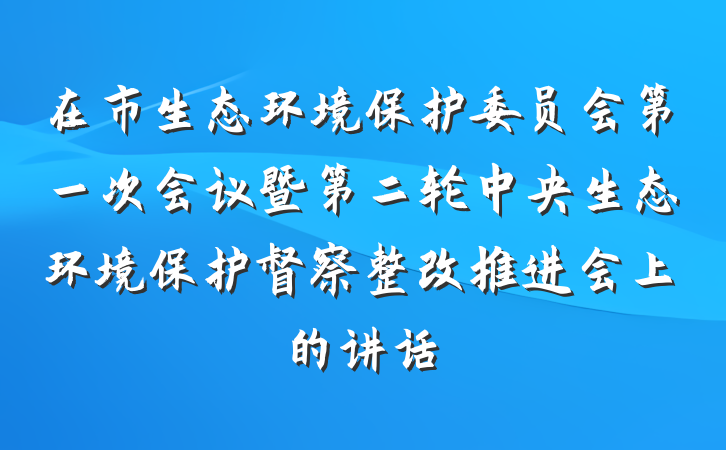 在市生态环境保护委员会第一次会议暨第二轮中央生态环境保护督察整改推进会上的讲话