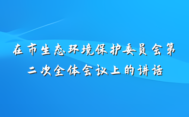 在市生态环境保护委员会第二次全体会议上的讲话