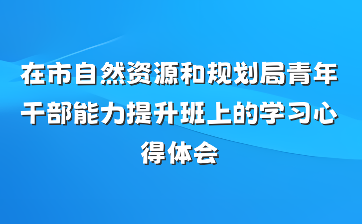 在市自然资源和规划局青年干部能力提升班上的学习心得体会