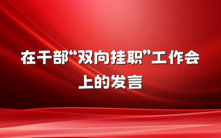 在干部“双向挂职”工作会上的发言