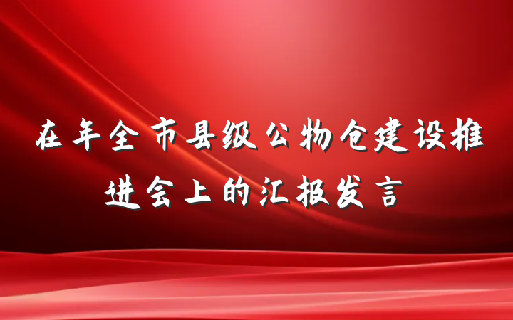 在年全市县级公物仓建设推进会上的汇报发言