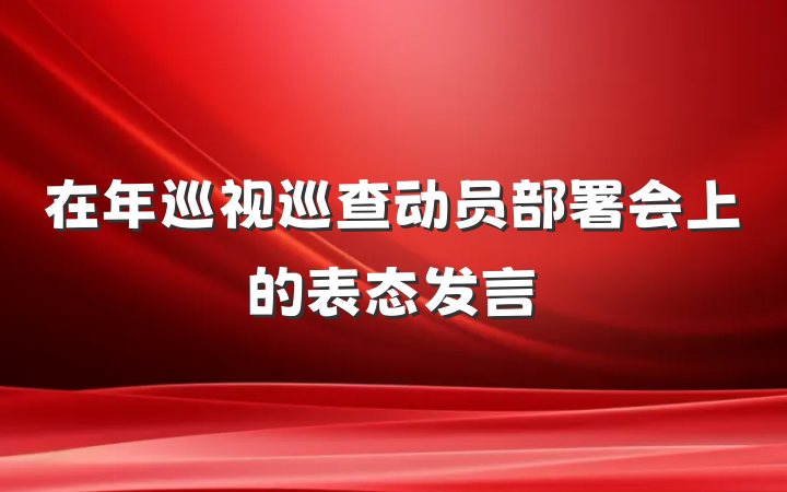 在年巡视巡查动员部署会上的表态发言