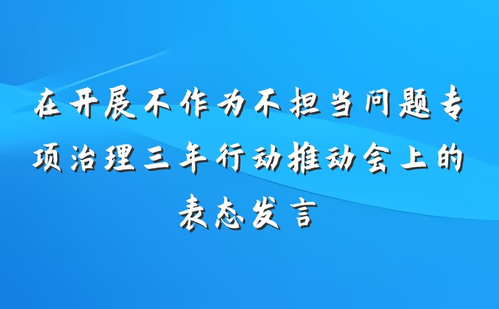 在开展不作为不担当问题专项治理三年行动推动会上的表态发言