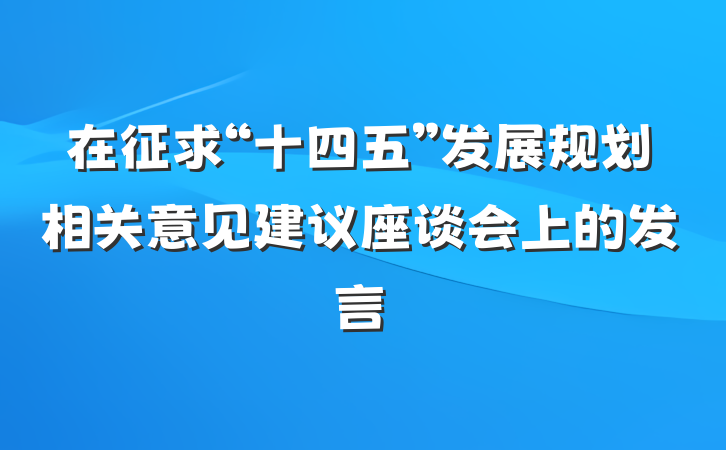 在征求“十四五”发展规划相关意见建议座谈会上的发言