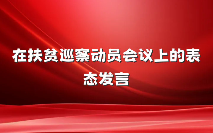 在扶贫巡察动员会议上的表态发言