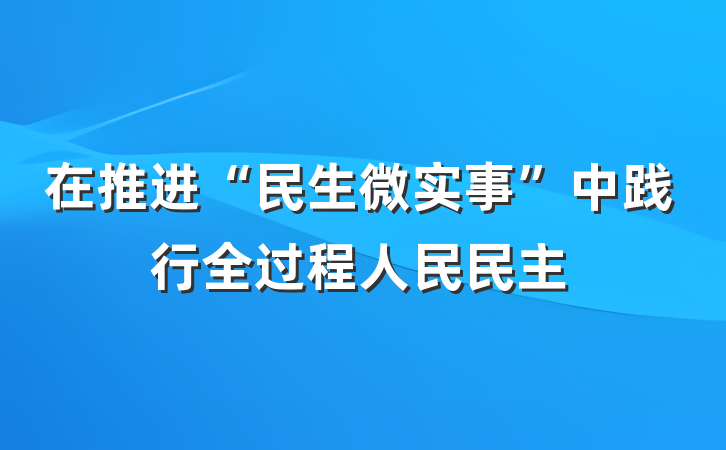 在推进“民生微实事”中践行全过程人民民主
