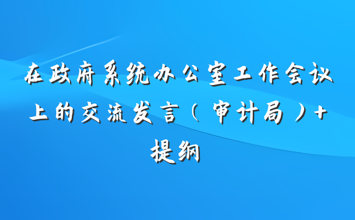 在政府系统办公室工作会议上的交流发言（审计局） 提纲