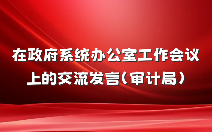 在政府系统办公室工作会议上的交流发言（审计局）