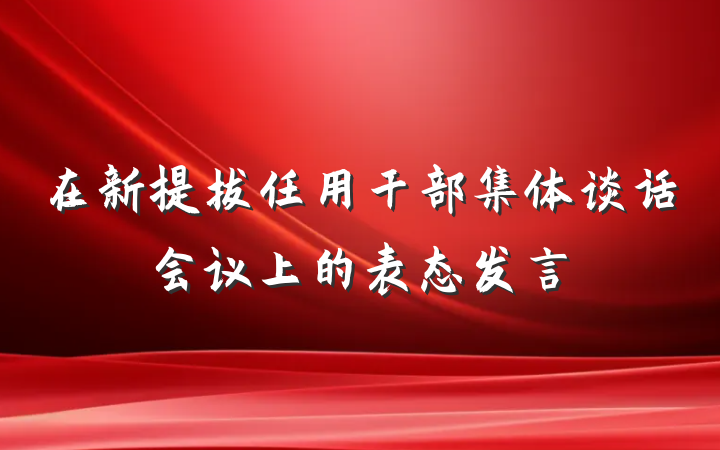 在新提拔任用干部集体谈话会议上的表态发言