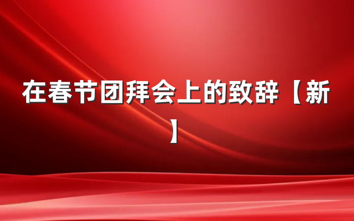 在春节团拜会上的致辞【新】