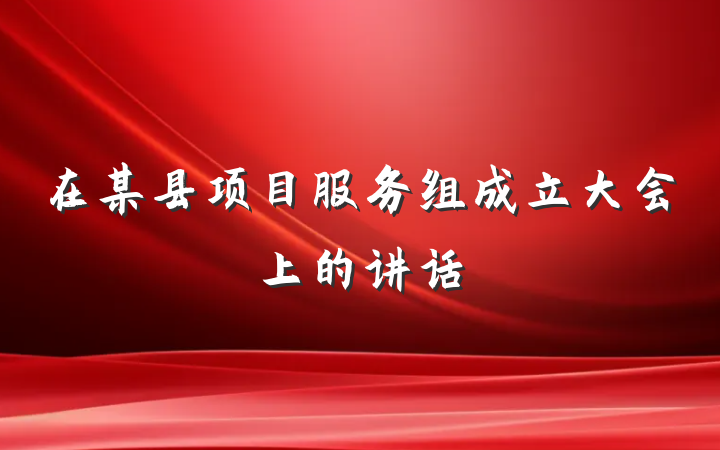 在某县项目服务组成立大会上的讲话