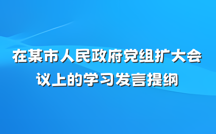 在某市人民政府党组扩大会议上的学习发言提纲