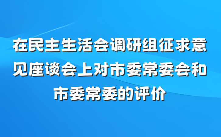 在民主生活会调研组征求意见座谈会上对市委常委会和市委常委的评价