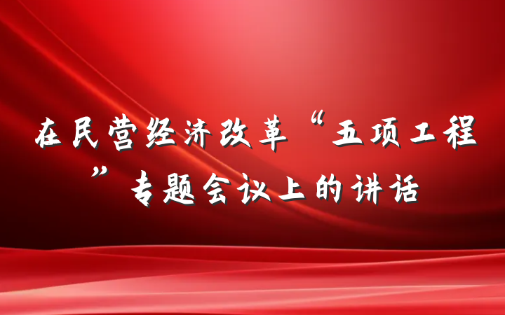 在民营经济改革“五项工程”专题会议上的讲话