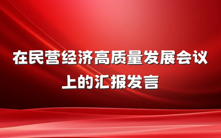 在民营经济高质量发展会议上的汇报发言