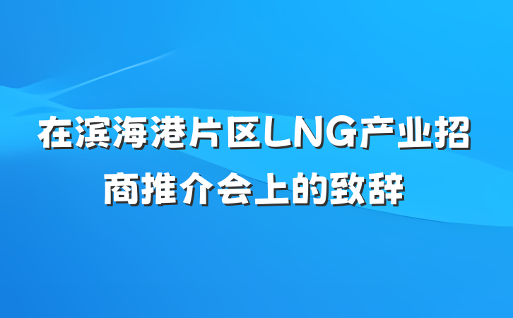 在滨海港片区LNG产业招商推介会上的致辞