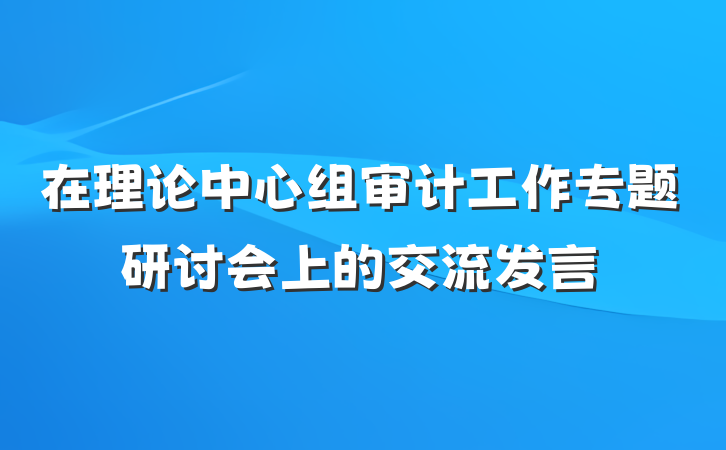 在理论中心组审计工作专题研讨会上的交流发言