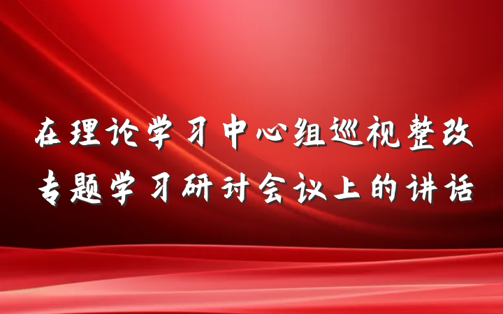 在理论学习中心组巡视整改专题学习研讨会议上的讲话
