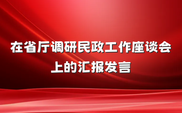在省厅调研民政工作座谈会上的汇报发言