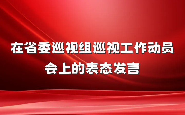 在省委巡视组巡视工作动员会上的表态发言