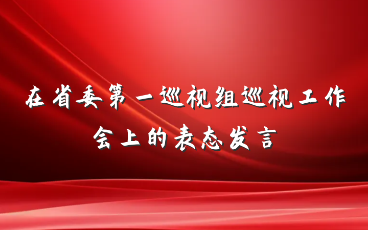 在省委第一巡视组巡视工作会上的表态发言