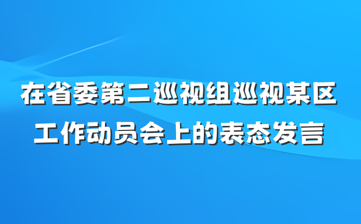 在省委第二巡视组巡视某区工作动员会上的表态发言
